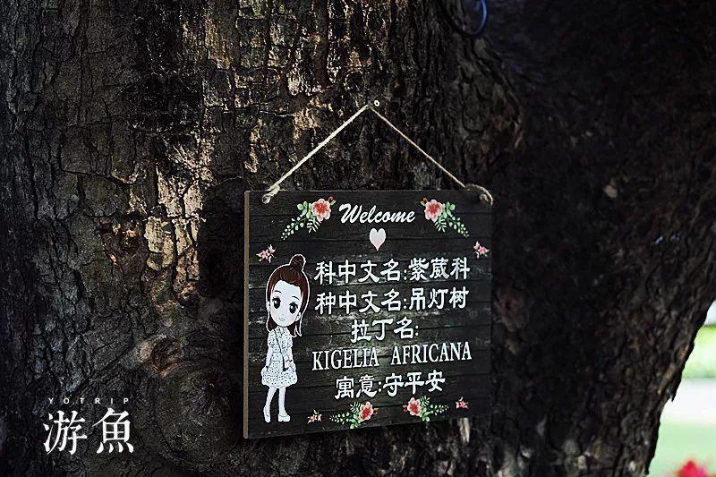 泰坦陨落2