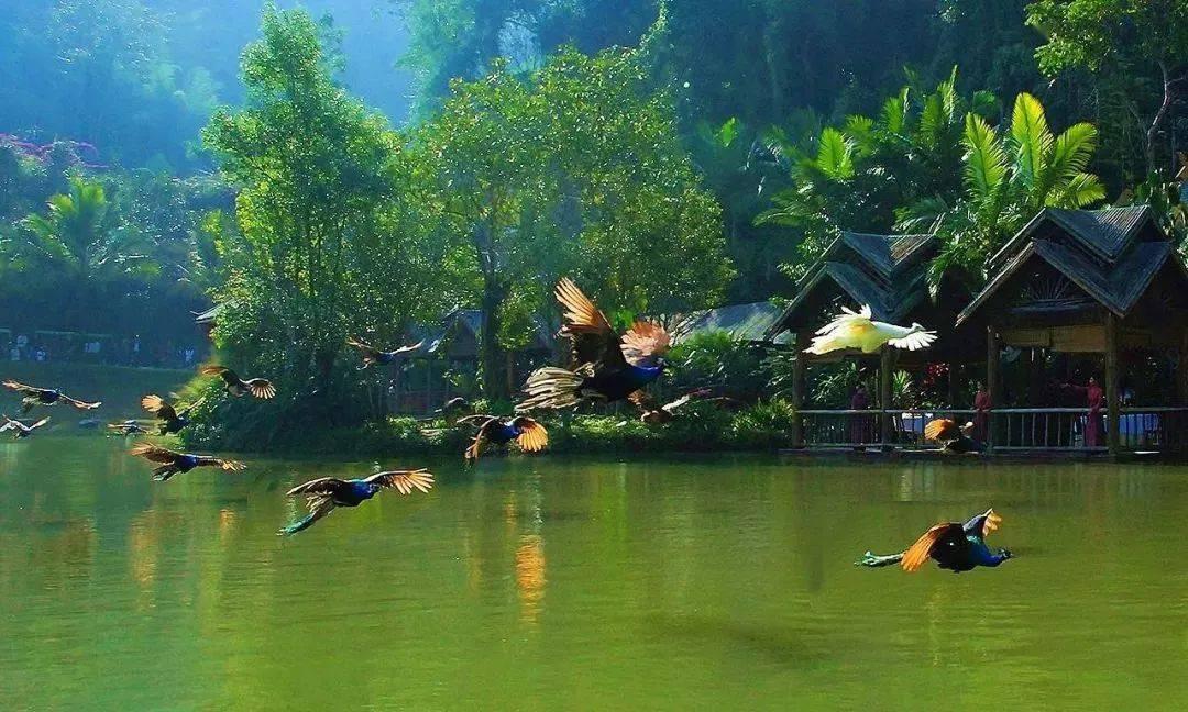 题注图1-1怎么设置游戏画面