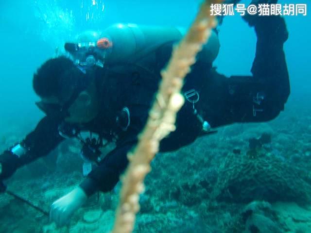 关于苏州衡瑞祥新能源科技有限公司违反海关监管规定行政处罚决定书